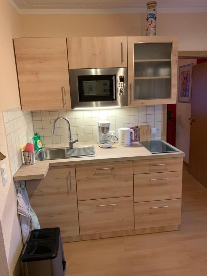 Kathrin'S Appartment Oelsnitz  Buitenkant foto